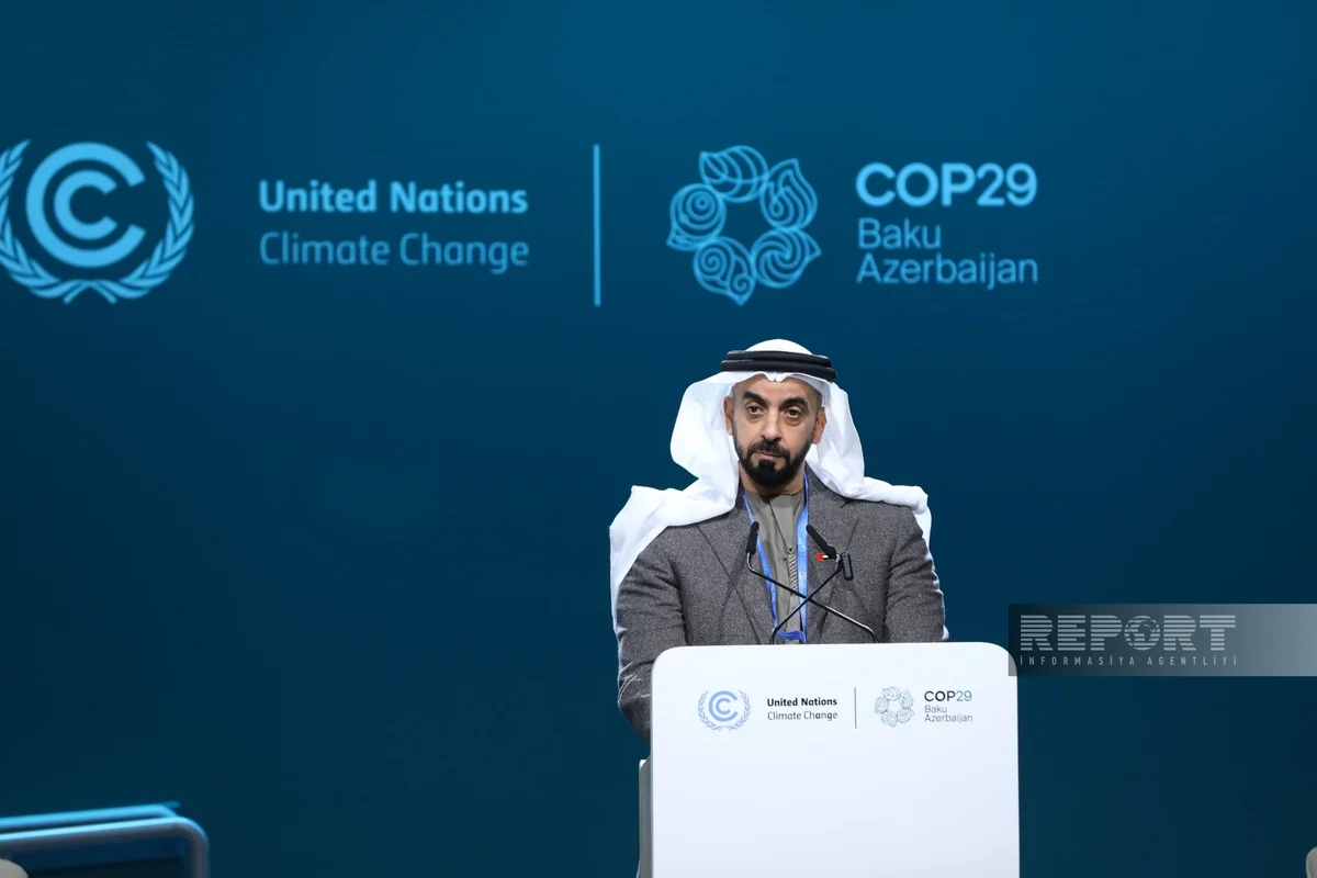 BƏƏ rəsmisi: Ekoloji cinayətlər ilbəil artır, səmərəli mübarizə vacibdir