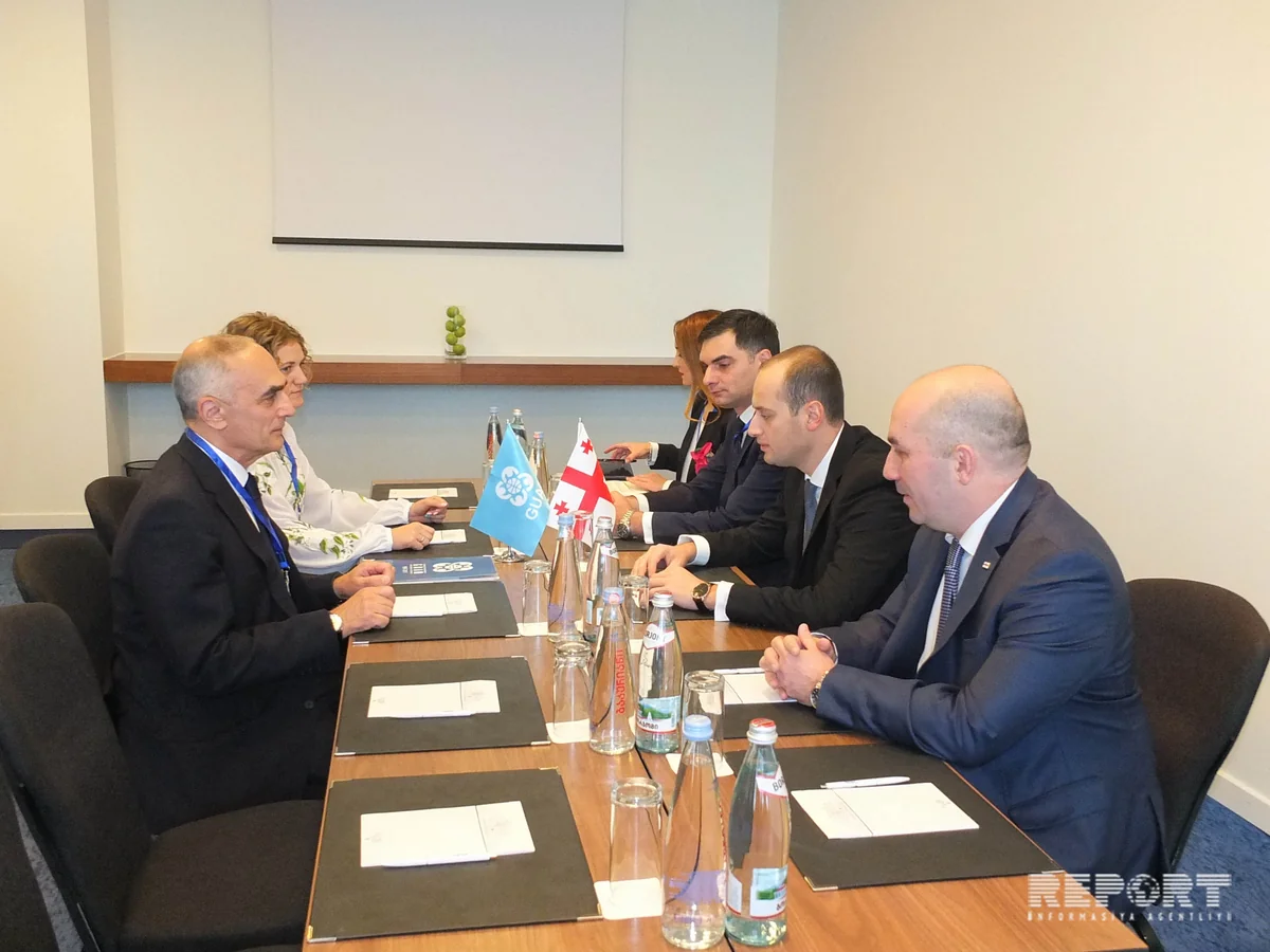 GUAM-ın Baş katibi Gürcüstanın xarici işlər naziri ilə ilə görüşüb