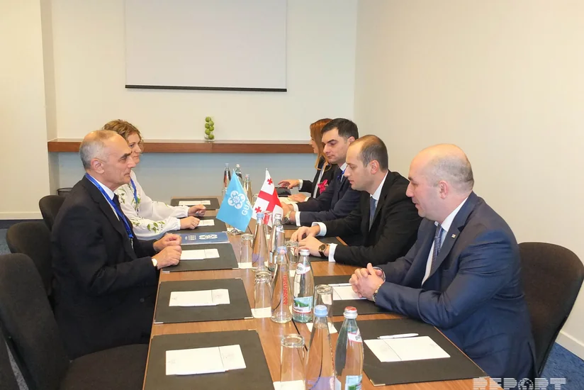 GUAM-ın Baş katibi Gürcüstanın xarici işlər naziri ilə ilə görüşüb