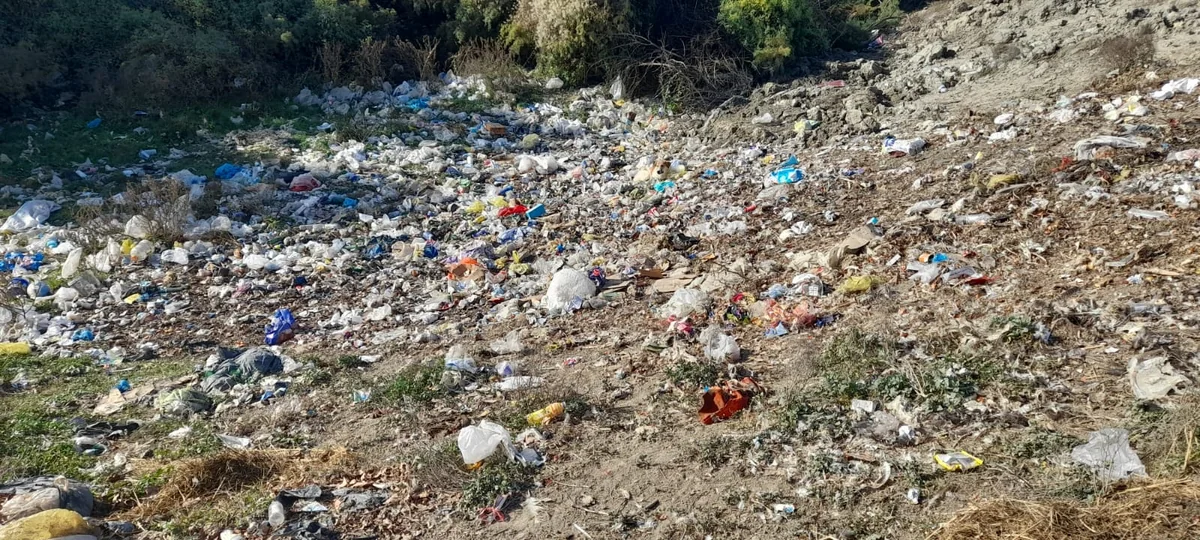 Zərdabda iki bələdiyyə sədri məsuliyyətə cəlb olunub