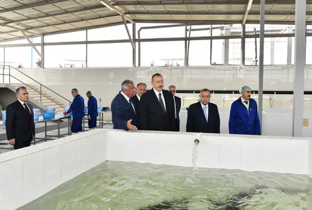 Yevlaxda balıqartırma müəssisəsi istifadəyə verilib