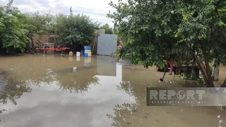 Qaxda leysan olub, çay daşıb, restoran və evlərin həyətlərini su basıb