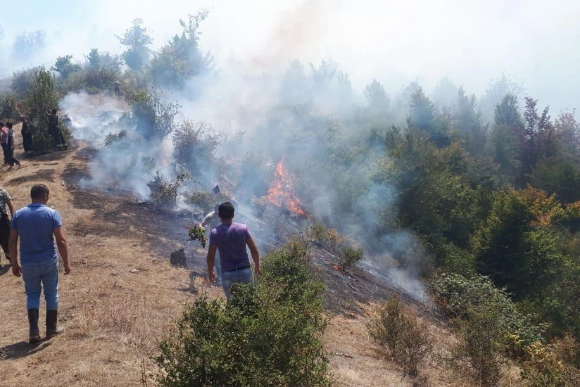Hirkan Milli Parkında yanğının söndürülməsinə daha bir helikopter cəlb olunub - VİDEO - YENİLƏNİB-2