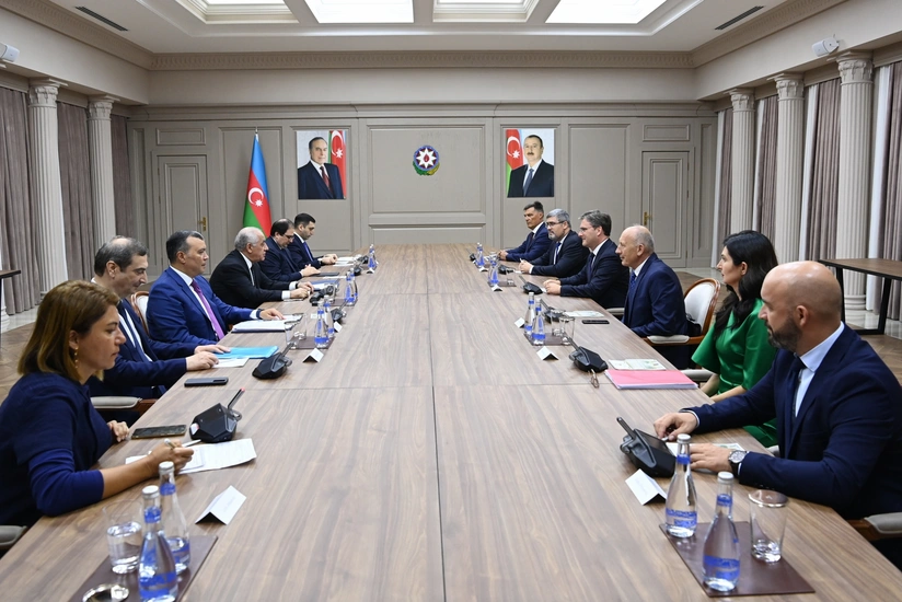 Baş nazir Əli Əsədov Serbiyanın mədəniyyət naziri ilə görüşüb