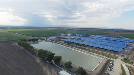 President Ilham Aliyev inaugurated Yalama Agropark