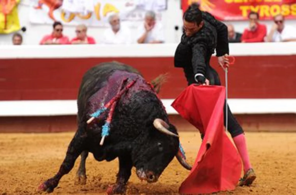 ​A bull kills a deputy in Spain