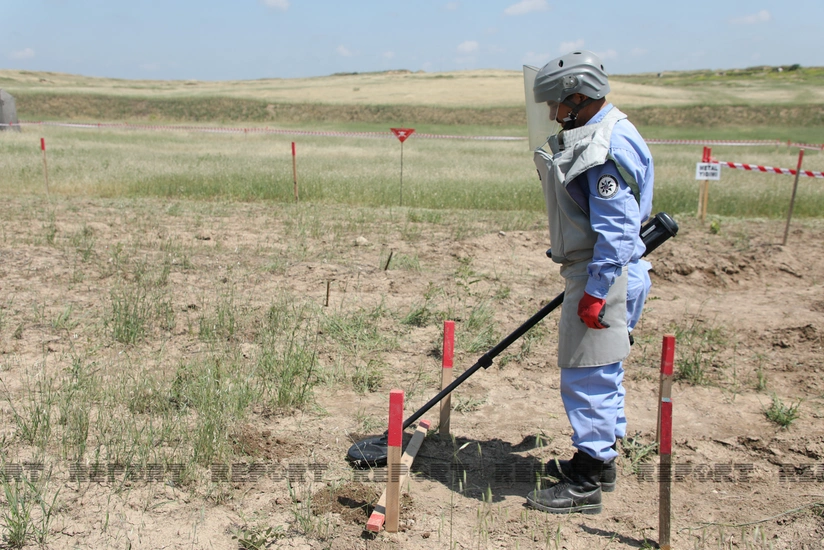 60,000 hectares in liberated areas to be cleared of mines next year