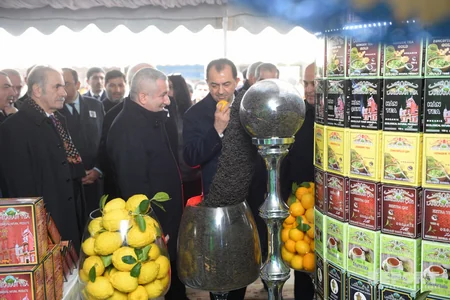 Lankaran hosts Tea, Rice and Citrus fruits Festival