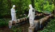 Meksikada gizli laboratoriyalarda 42 ton metamfetamin ələ keçirilib