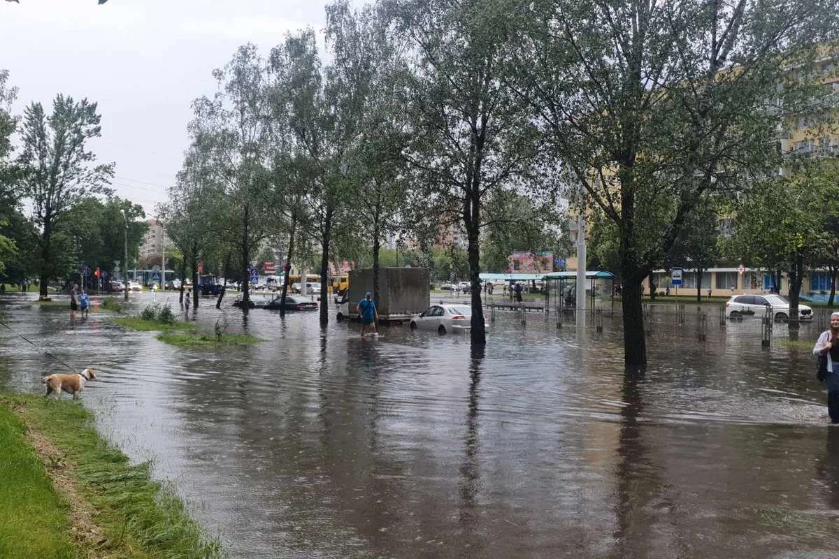МЧС Беларуси: За два дня непогоды погибли шесть человек