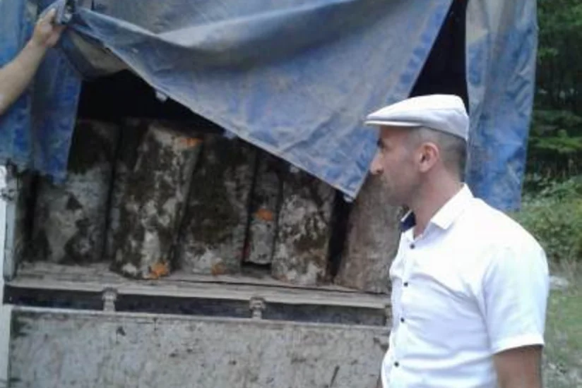 Qubada “QAZEL”dən fıstıq cinsli meşə materialı aşkar olunub