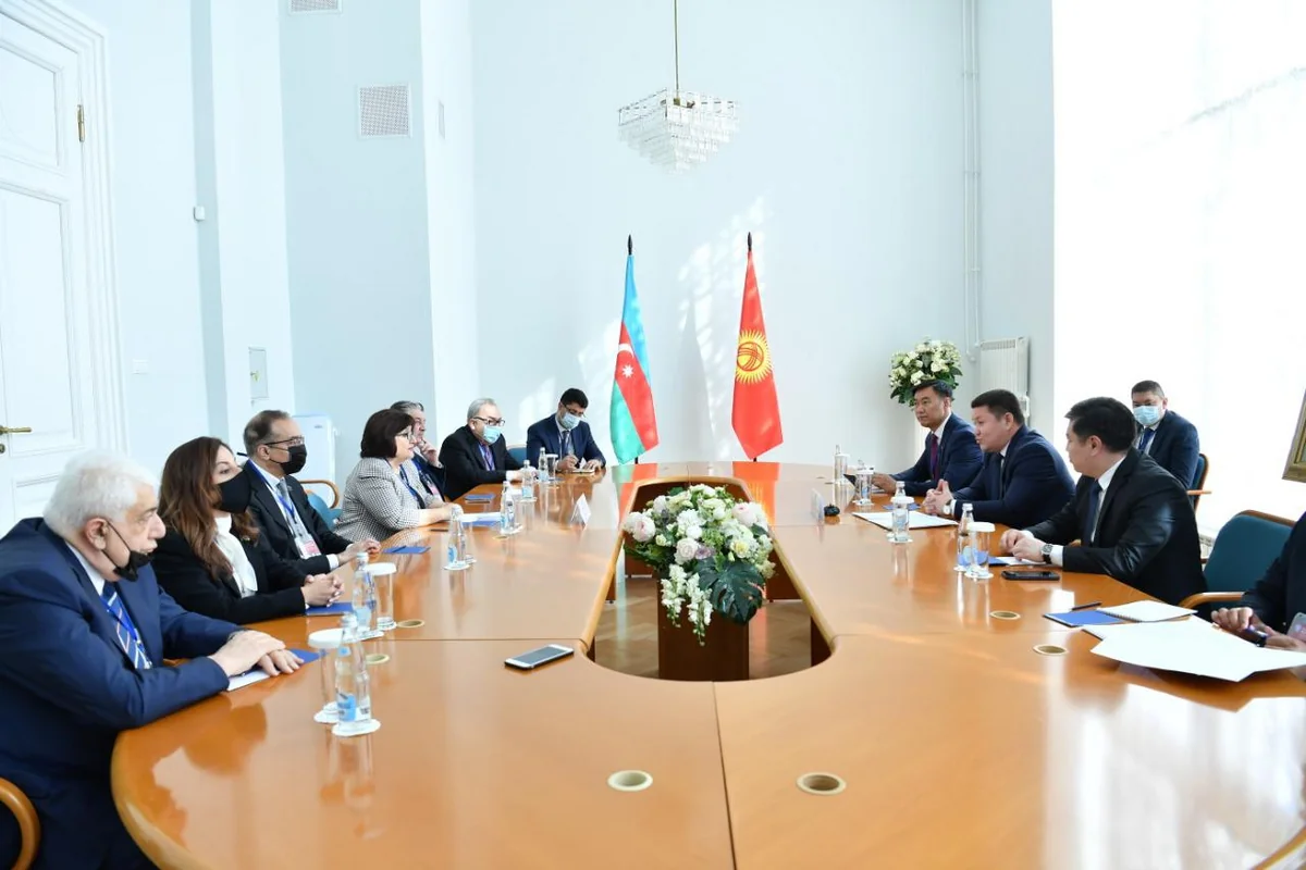 Sahiba Gafarova: Azerbaijan liberated its lands in accordance with UN resolutions