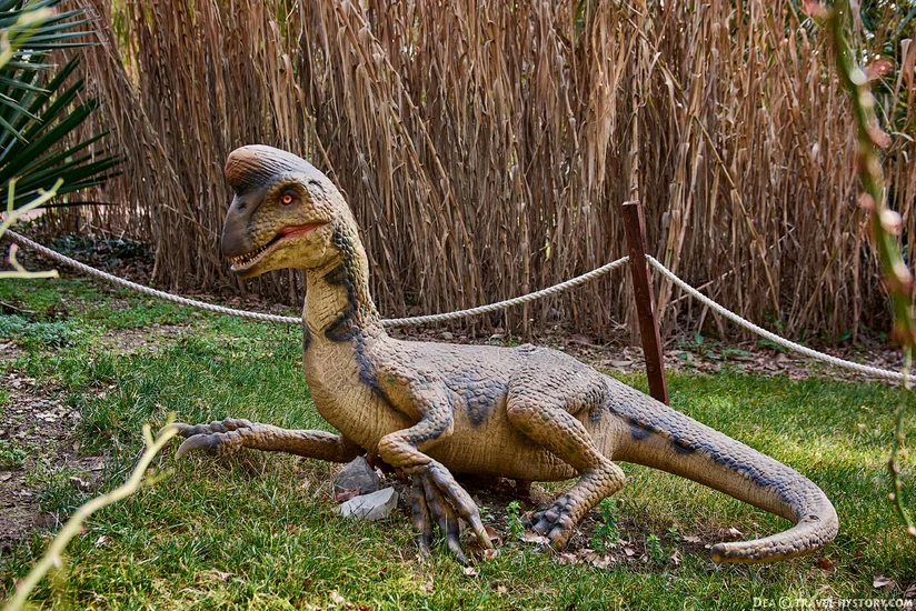 В Китае нашли окаменевшее яйцо с зародышем динозавра