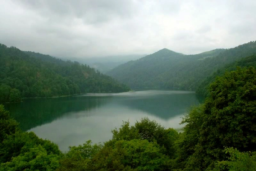 Azərbaycanın qoruqlarında “Açıq qapı” günü təşkil ediləcək