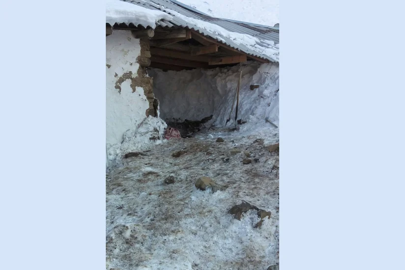 Lerik RİH başçısının müavini: Qar uçqunu zamanı ölən ailə üzvlərinin dəfni üçün yardım ediləcək - FOTO - VİDEO