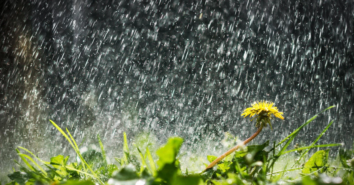 Sabah yağış yağacaq, bölgələrdə şimşək çaxacaq
