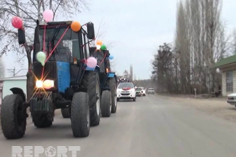 Tovuzda bəy maşınını traktor karvanı müşayiət edib - FOTO