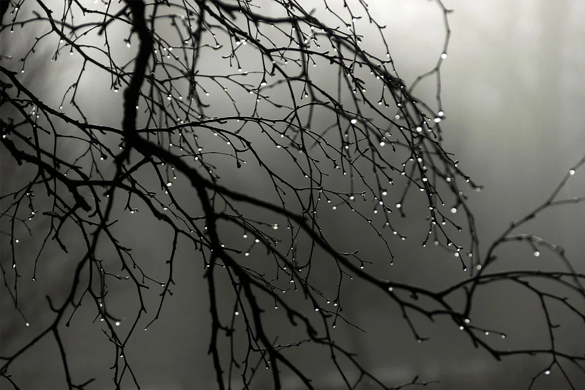 Azərbaycan ərazisində havanın temperaturu kəskin şəkildə aşağı düşəcək