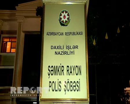 Şəmkirdə mal-qara oğurluğu edən dəstə zərərsizləşdirilib