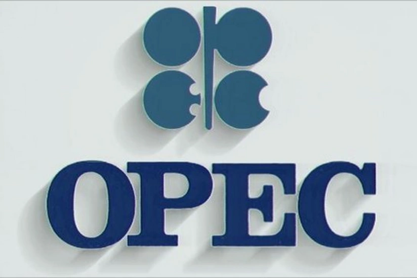 ОПЕК: В прошлом году Азербайджан увеличил экспорт газа более чем на 41%