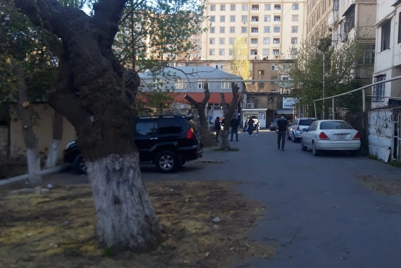 Минэкологии обязало ИВ Баку прекратить работы по обрезке деревьев