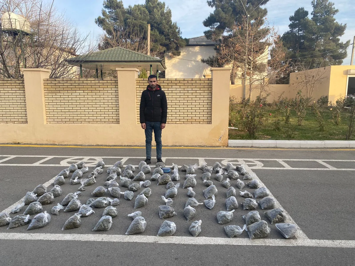 Salyan sakinindən 10 kiloqram narkotik götürülüb
