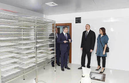 Qax Damazlıq İpəkçilik Stansiyası yenidən qurularaq istifadəyə verilib