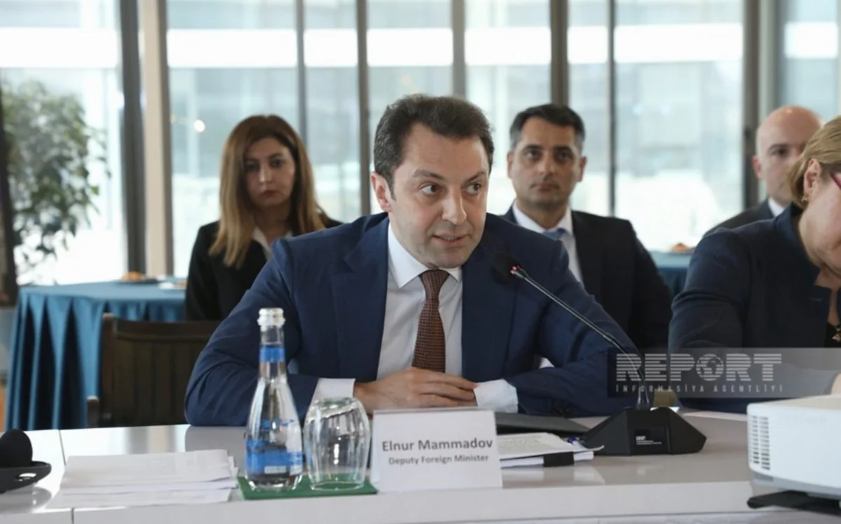 Elnur Mammadov: UN mission confirmed that there were no cases of ill-treatment of Karabakh's Armenian population