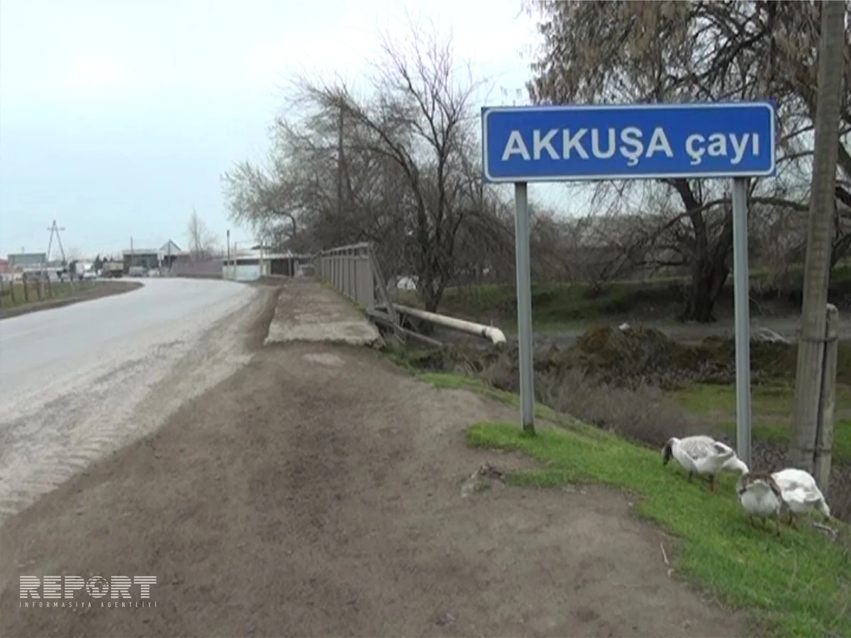 ​Salyanda Akkuşa çayına 30 mindən artıq balıq buraxılıb - FOTO