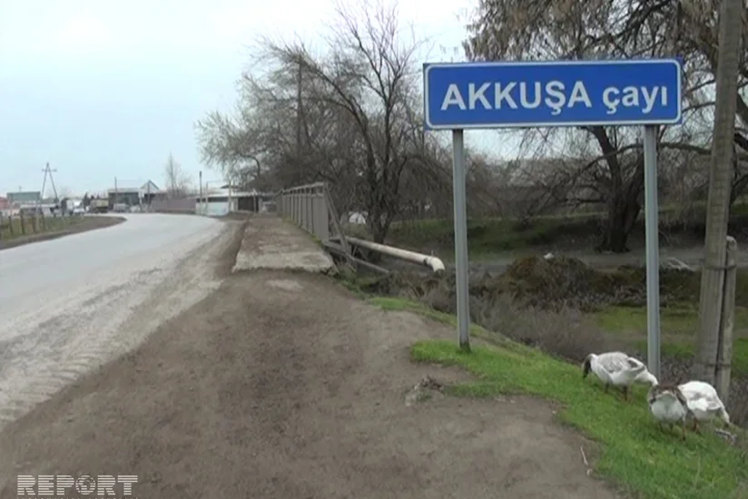 ​Salyanda Akkuşa çayına 30 mindən artıq balıq buraxılıb - FOTO