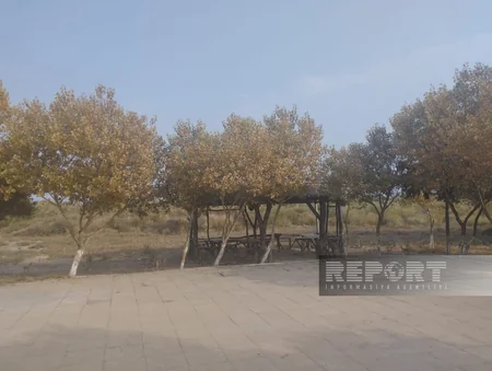 Şirvan Milli Parkında ceyranların müşahidə məntəqəsi istifadəyə verilib