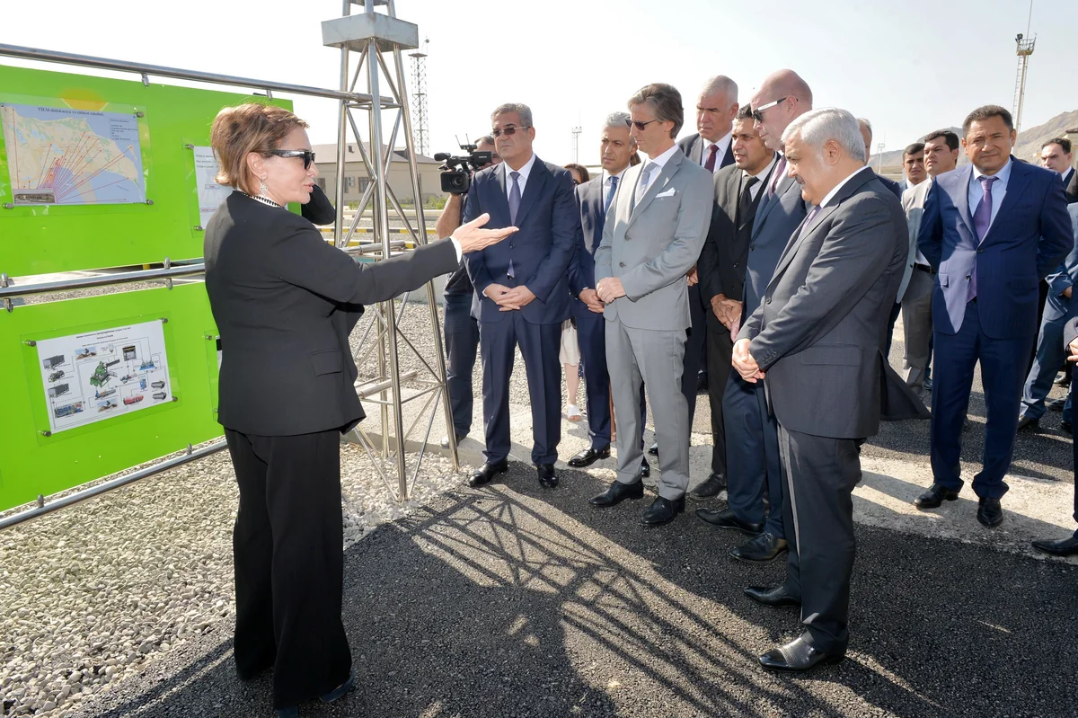SOCAR və tərəfdaşları Qaradağda meşə massivinin salınmasına başlayıblar