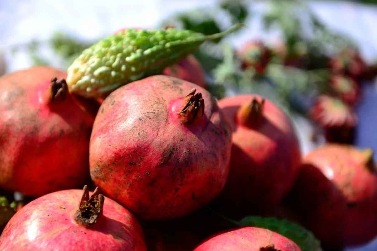 “AzNar” səhmdarlarına dividend ödəyəcək