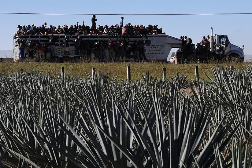Salvadordan ABŞ-a daha bir miqrant karvanı yola düşüb