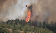 В турецкой Адане потерпел крушение пожарный самолет, пилоты получили ранения