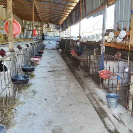 Goranboyda fermada nöqsanlar aşkarlanıb