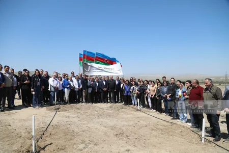 Представители СМИ приняли участие в акции по посадке деревьев, приуроченной к 100-летию Гейдара Алиева