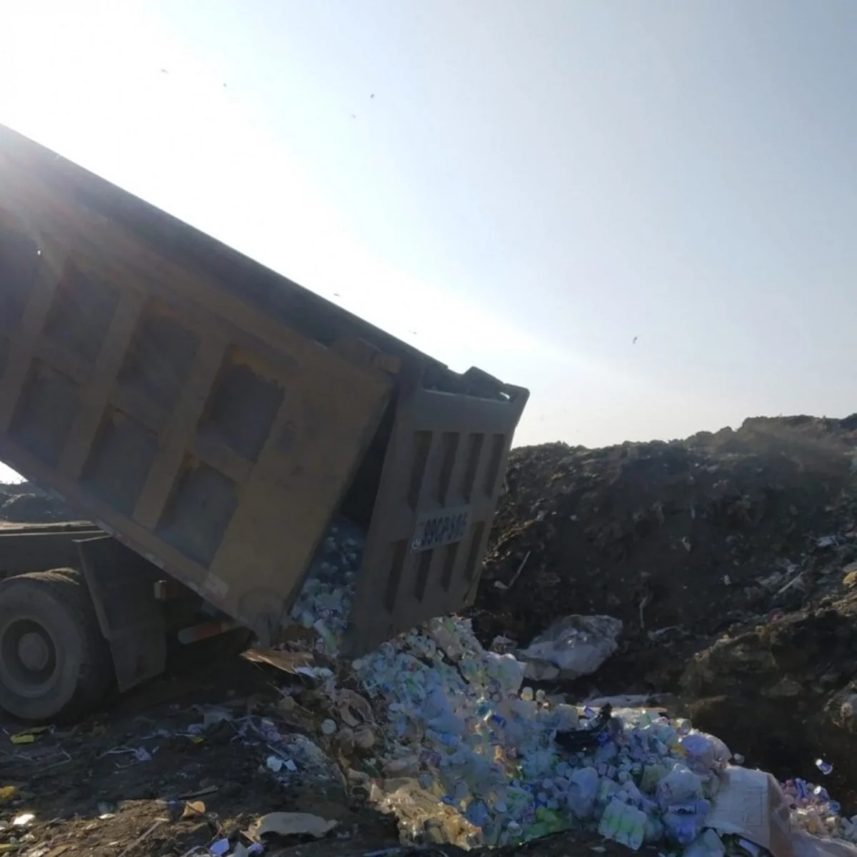 İstehlaka yararsız 10 ton süd məhsulu məhv edilib