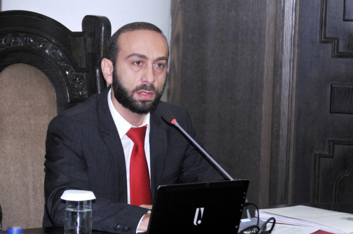 Armenian foreign minister hopes for soonest meeting on border demarcation with Azerbaijan