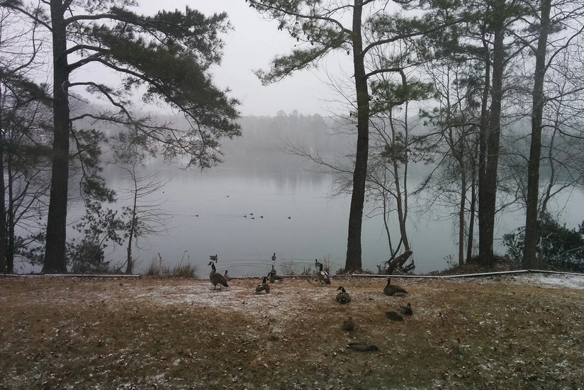 Weather forecast for tomorrow announced