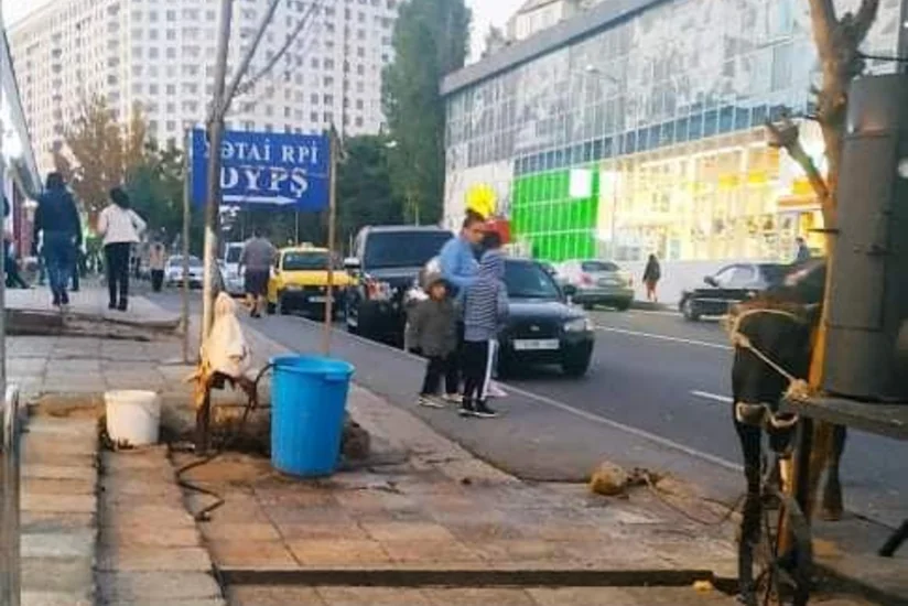 Bakıda qanunsuz fəaliyyət göstərən kəsim məntəqələri aşkarlanıb