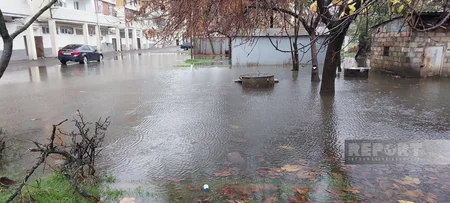 Lənkəranda yağışdan sonra mərkəzi küçələri su basıb, ərazi keçilməz olub