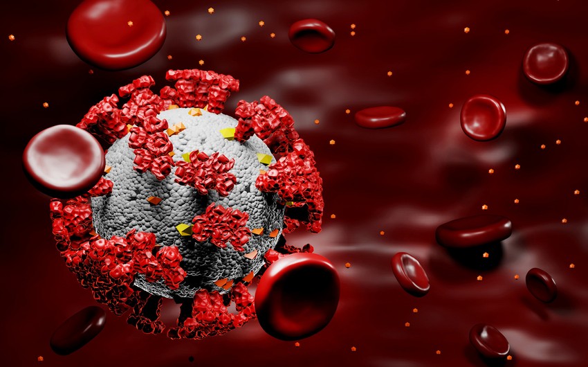 ABŞ kəşfiyyatı: “SARS-CoV-2” virusu bioloji silah kimi hazırlanmayıb