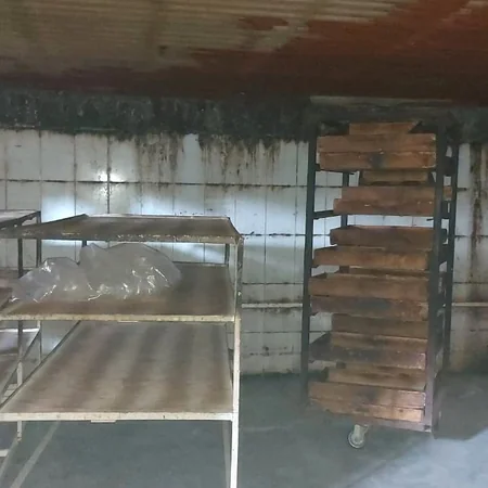 Qazaxda çörək istehsalı müəssisəsində nöqsanlar aşkarlanıb