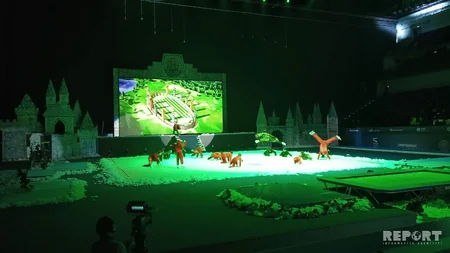 Azərbaycan Gimnastika Federasiyası tamaşaçılara Yeni il şousu təqdim edib - FOTO