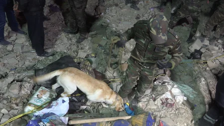 Xilasedicilər Gəncədə dağıntılar altından 52 yaralı və 13 meyit çıxarıb