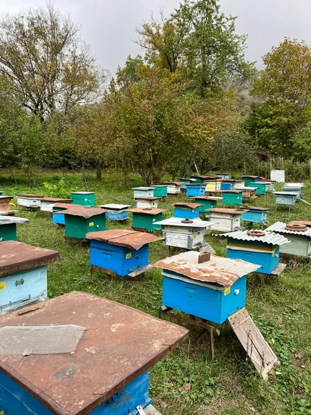 İsmayıllı və Şamaxı rayonlarının turizm potensialı araşdırılır