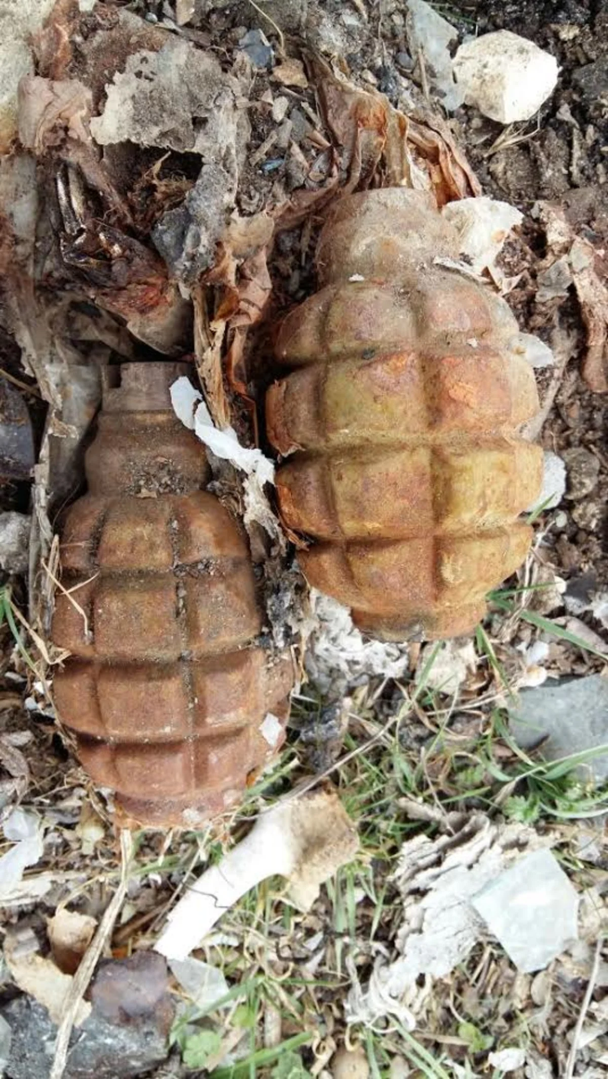 Göygöl rayonunda F-1 əl qumbarası aşkar edilib - FOTO