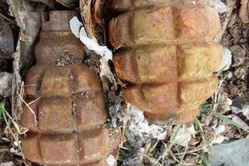 Göygöl rayonunda F-1 əl qumbarası aşkar edilib - FOTO