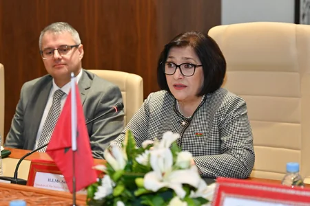 Сахиба Гафарова проинформировала своего марокканского коллегу о мирном процессе между Азербайджаном и Арменией